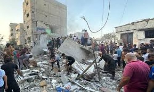 WhatsApp Image 2026-03-08 at 9.43.11 PM